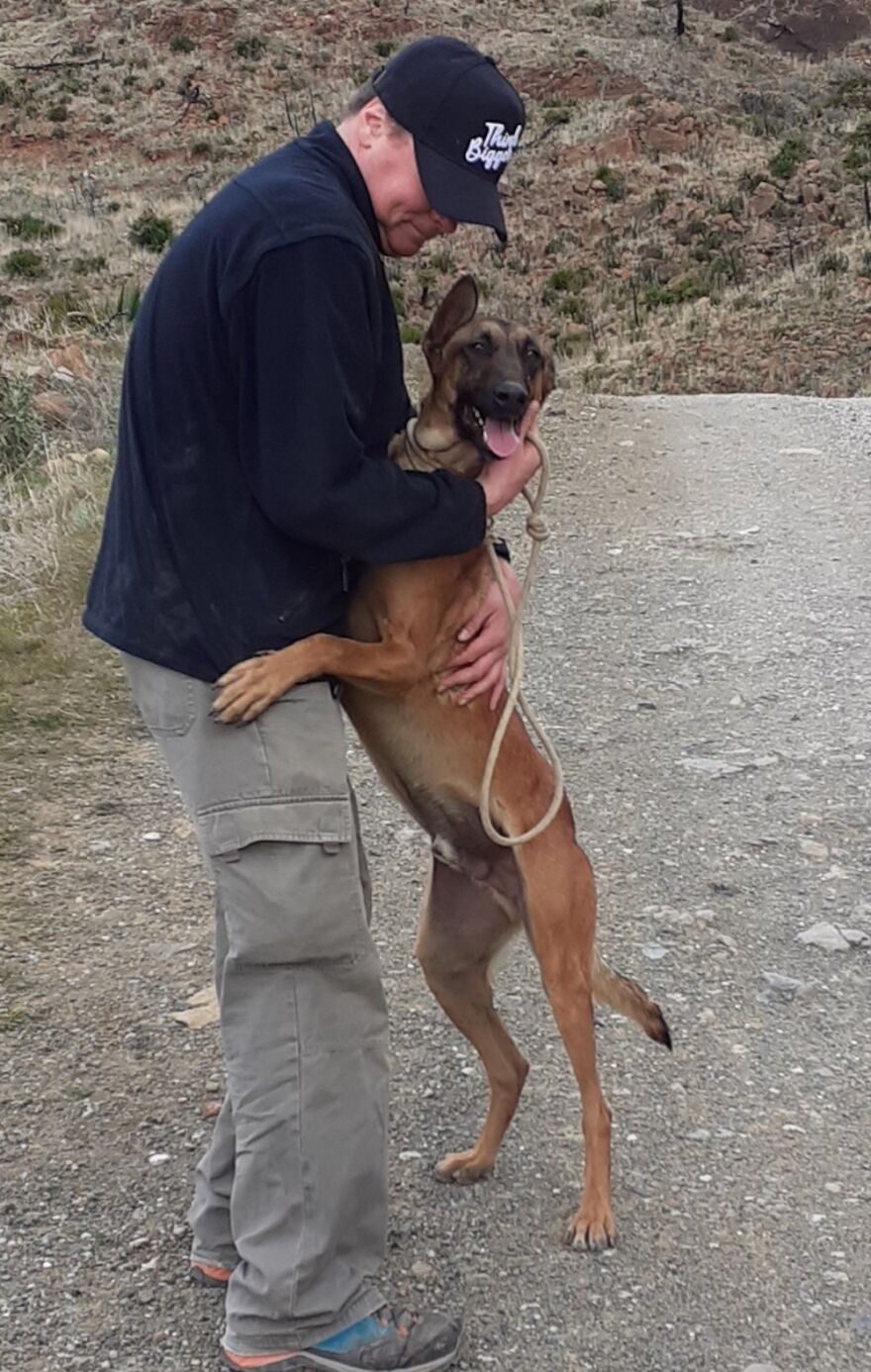 We're Never Short Of Affection At The Adana Dog Rescue Centre (12 Pics) We're Never Short Of Affection At The Adana Dog Rescue Centre (12 Pics)