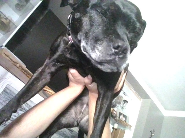 What’s The Funniest Picture Of Your Pet You Have?