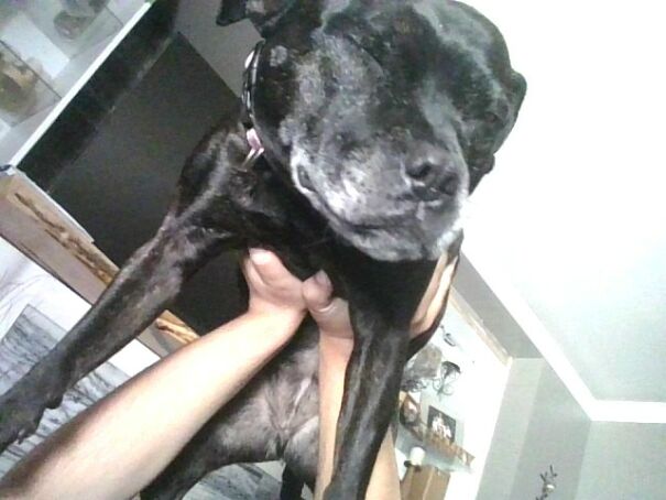 This Isn't The Funniest One, But It's Definitely The Best One!