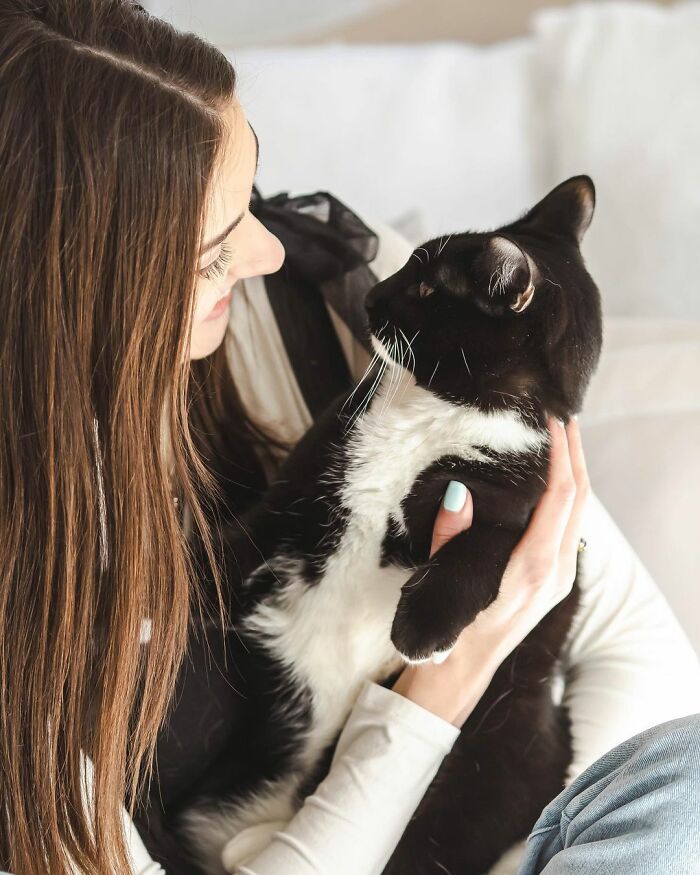 Meet Coop, A Cat Abandoned By His Owners Who Found His New Loving Family Meet Coop, A Cat Abandoned By His Owners Who Found His New Loving Family