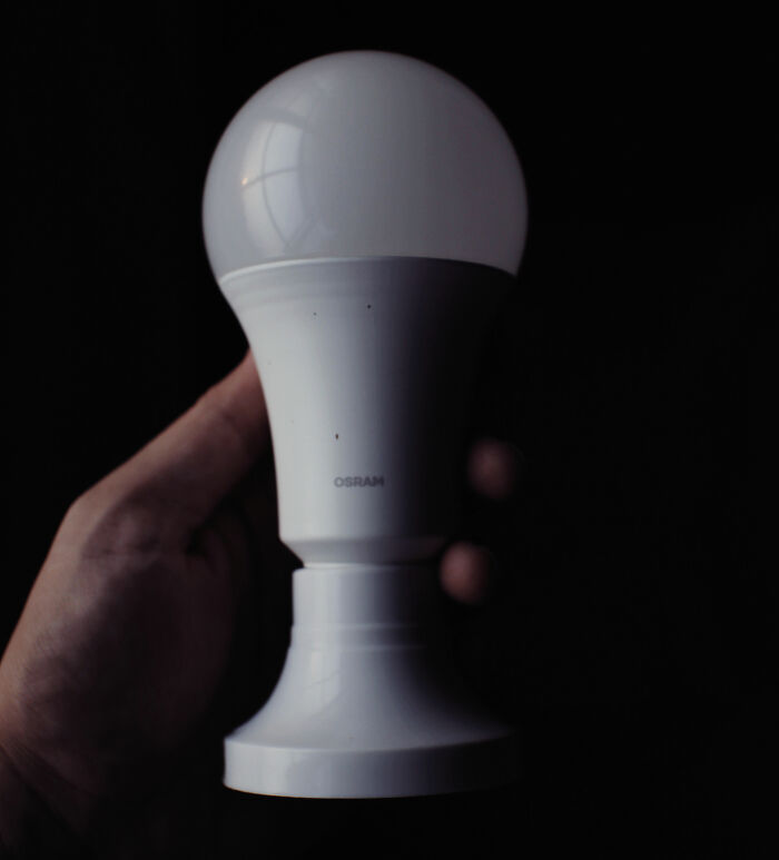 Person Holding A Lightbulb 