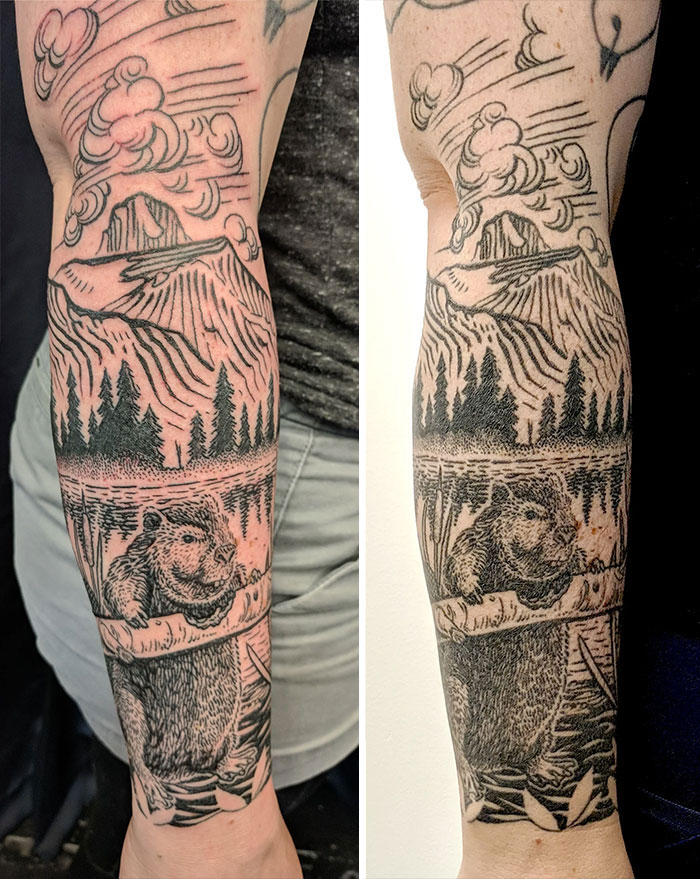 Beaver Tattoo: Fresh vs. A Little Over 1 Year