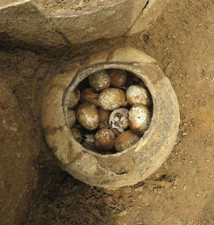 In An Excavated Tomb In Eastern China’s Jiangsu Province, Archaeologists Found A Jar Filled With Eggs Dating Back To The Spring And Autumn Period (770–ca. 475 B.c.), Making These Incredible Edibles At Least 2,500 Years Old. Unfortunately, Only The Shells Remain