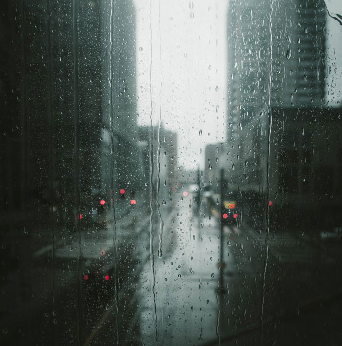 36 April Fun Facts To Celebrate Nature Awakening