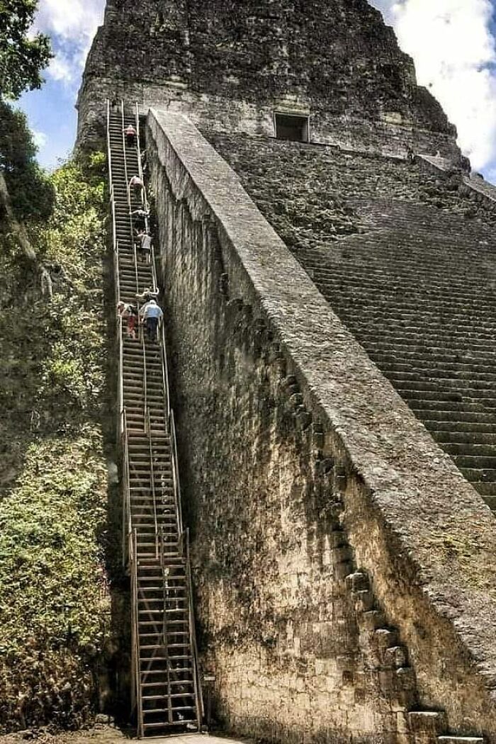 A Magnificent Mayan Pyramid In Tikal National Park,the Ancient Mayan City In Guatemala
