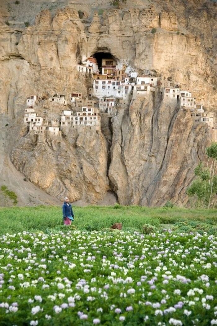 El monasterio de Phuktal está construido alrededor de una cueva natural que, según se cree, fue visitada por numerosos sabios, eruditos, traductores y monjes hace unos 2.550 años