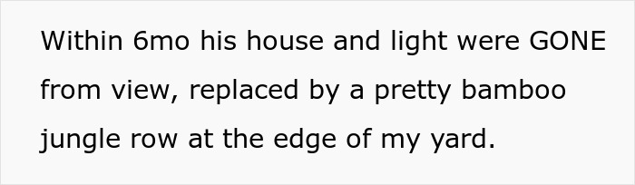“I Quickly Discovered Running Bamboo”: Homeowner Takes Revenge On Inconsiderate Neighbor Refusing To Shift His Security Light “I Quickly Discovered Running Bamboo”: Homeowner Takes Revenge On Inconsiderate Neighbor Refusing To Shift His Security Light