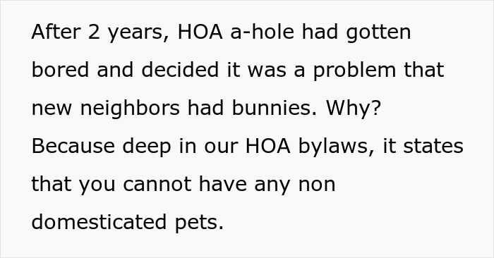 HOA Forces This Family To Get Rid Of Their Bunnies, So They Start A "Bunnypocalypse" Before Moving