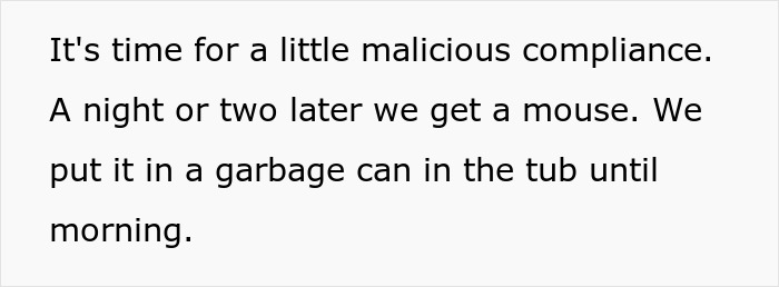 Maintenance Asks Tenant To Provide “Proof” Of Mouse Infestation By Bringing What They Catch To The Main Office, They Maliciously Comply Maintenance Asks Tenant To Provide “Proof” Of Mouse Infestation By Bringing What They Catch To The Main Office, They Maliciously Comply