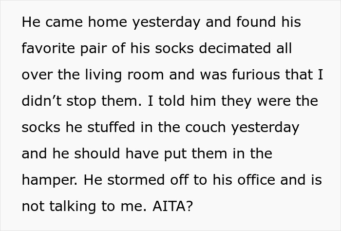 Guy Gets Tired Of His Boyfriend's Socks Being Scattered All Over Their Home, "Unionizes" With Their Dogs Against Him Guy Gets Tired Of His Boyfriend's Socks Being Scattered All Over Their Home, "Unionizes" With Their Dogs Against Him