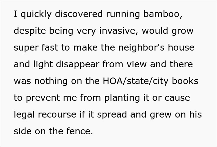 “I Quickly Discovered Running Bamboo”: Homeowner Takes Revenge On Inconsiderate Neighbor Refusing To Shift His Security Light “I Quickly Discovered Running Bamboo”: Homeowner Takes Revenge On Inconsiderate Neighbor Refusing To Shift His Security Light