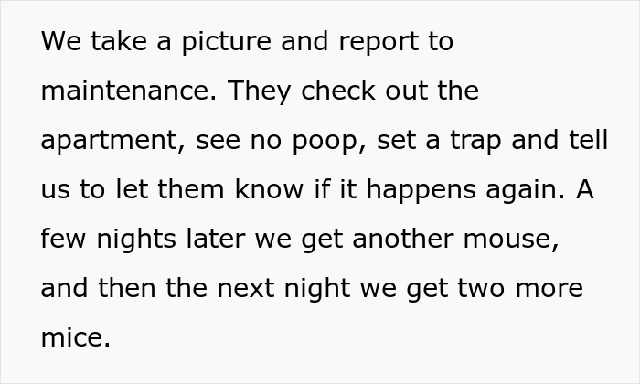 Maintenance Asks Tenant To Provide “Proof” Of Mouse Infestation By Bringing What They Catch To The Main Office, They Maliciously Comply