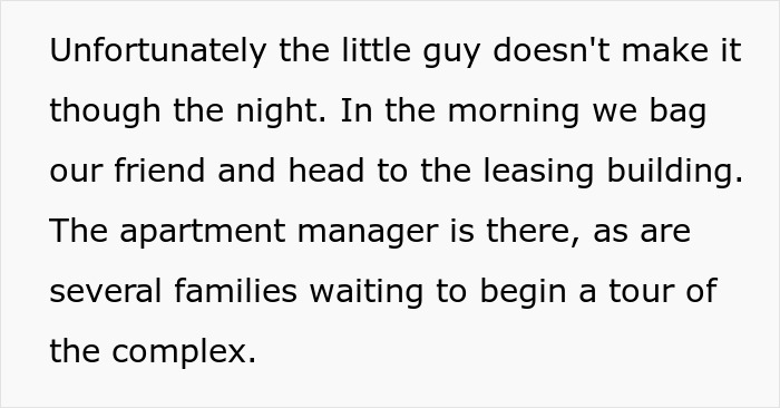 Maintenance Asks Tenant To Provide “Proof” Of Mouse Infestation By Bringing What They Catch To The Main Office, They Maliciously Comply Maintenance Asks Tenant To Provide “Proof” Of Mouse Infestation By Bringing What They Catch To The Main Office, They Maliciously Comply
