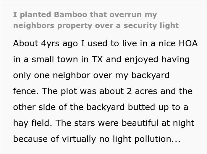 “I Quickly Discovered Running Bamboo”: Homeowner Takes Revenge On Inconsiderate Neighbor Refusing To Shift His Security Light “I Quickly Discovered Running Bamboo”: Homeowner Takes Revenge On Inconsiderate Neighbor Refusing To Shift His Security Light
