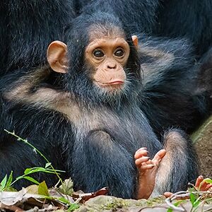 seamuscorcoran avatar