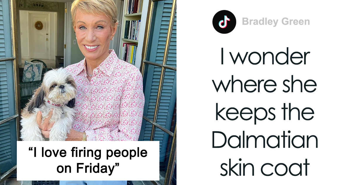 Businesswoman Joyfully Discusses Firing Employees On Fridays, But People Online Don't Tolerate It - Vimarsana News