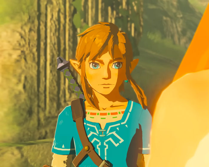 Link (The Legend Of Zelda: Breath Of The Wild)