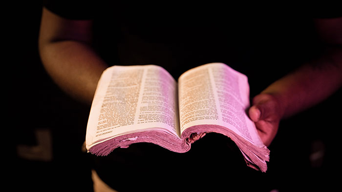 A person holding an open Bible