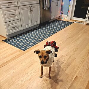 jennicephillips avatar