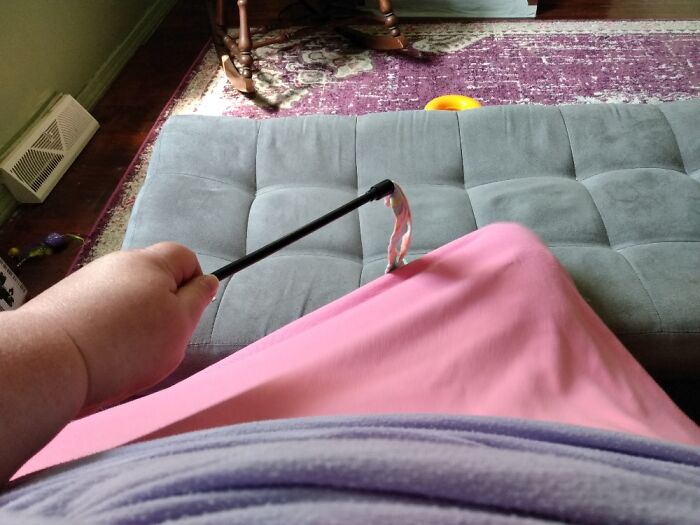 I Just Had To Share This Picture Of My Skirt Attacking A Wand Toy