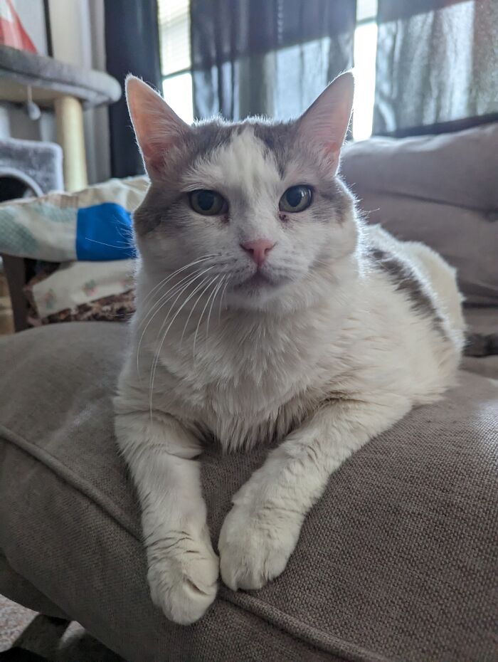 Shes My Old Lady, Lookin Spry