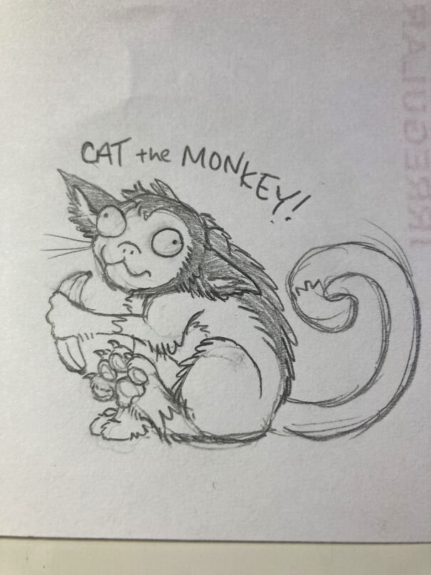 cat_the_monkey-644675f4c5119.jpg
