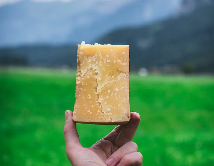 a piece of cheese on the background of field