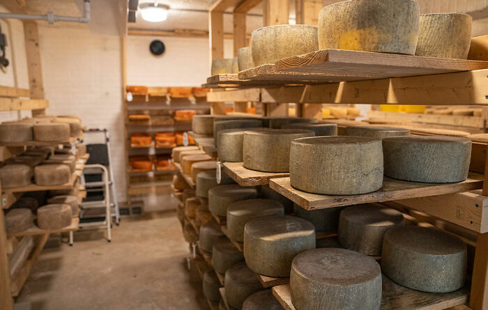 a lot of circle head of cheese in the basement