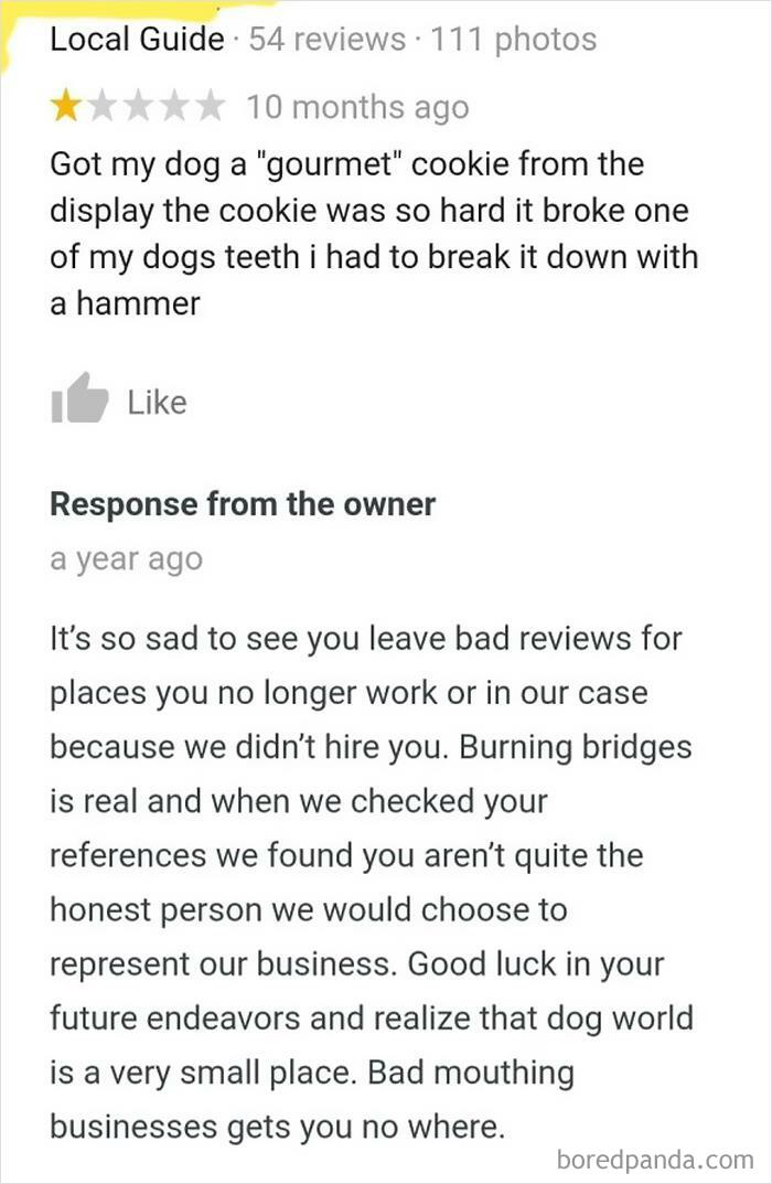 Lying On A Pet Store Google Review Because They Wouldn't Hire Him. Owner Responds