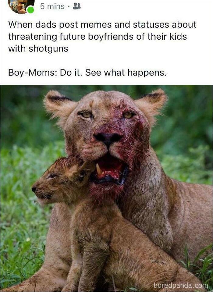 “Boy-Moms”