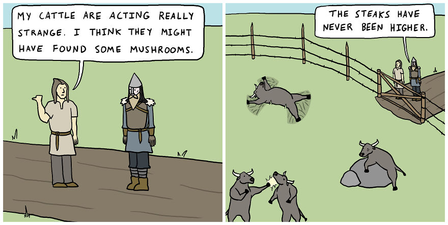 Investigating Cattle