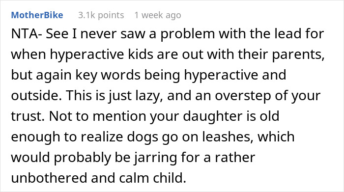 “Am I The Jerk For Telling My Sister She Is Too Heavy And Lazy To Watch My Kid?”