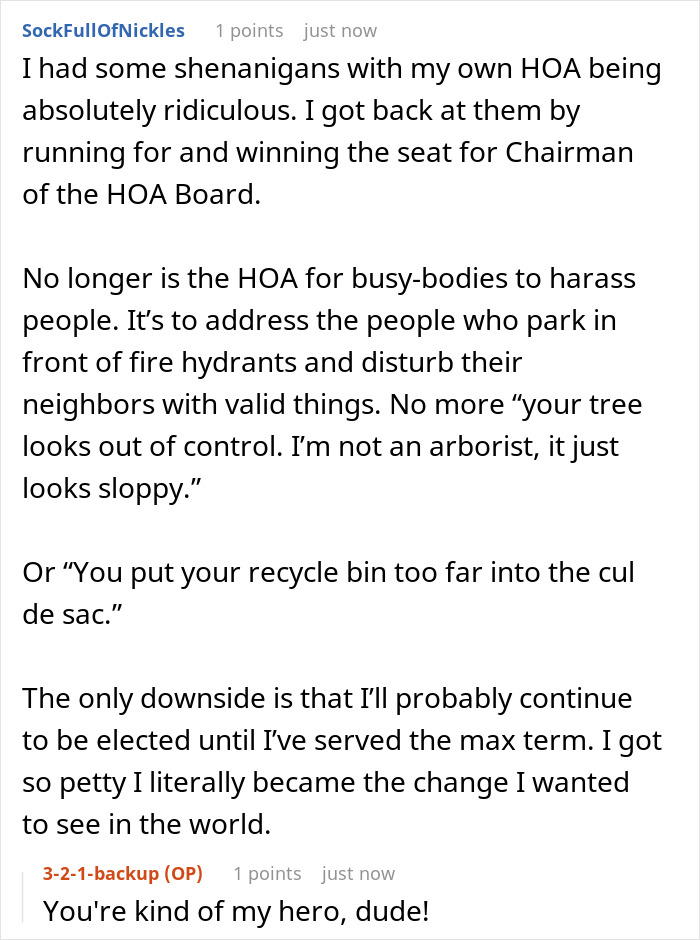 Teens Outsmart Neighborhood’s Ridiculous Rules, Annoying The HOA By Maliciously Complying With Their Technicalities