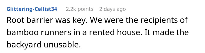 “I Quickly Discovered Running Bamboo”: Homeowner Takes Revenge On Inconsiderate Neighbor Refusing To Shift His Security Light “I Quickly Discovered Running Bamboo”: Homeowner Takes Revenge On Inconsiderate Neighbor Refusing To Shift His Security Light