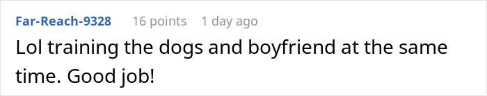 Guy Gets Tired Of His Boyfriend's Socks Being Scattered All Over Their Home, "Unionizes" With Their Dogs Against Him Guy Gets Tired Of His Boyfriend's Socks Being Scattered All Over Their Home, "Unionizes" With Their Dogs Against Him
