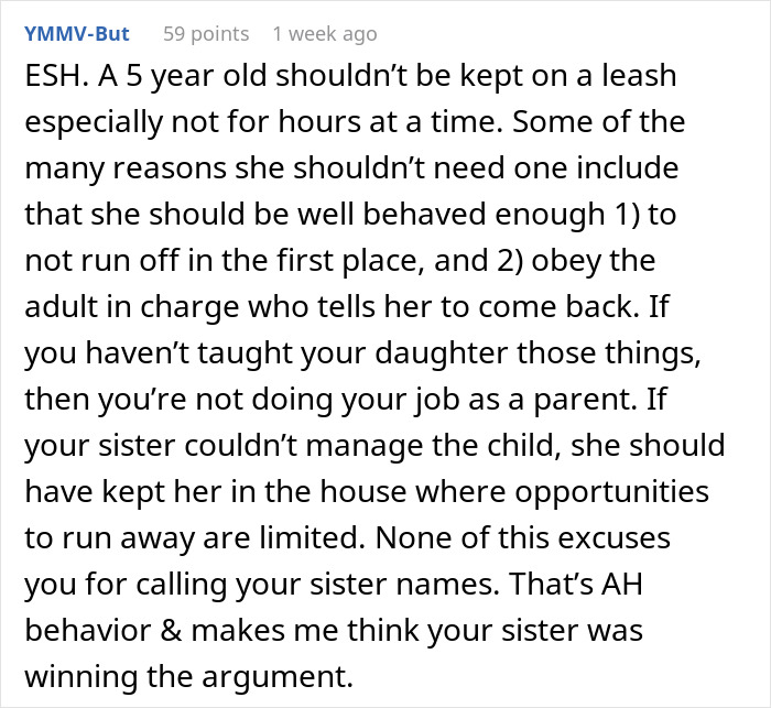 “Am I The Jerk For Telling My Sister She Is Too Heavy And Lazy To Watch My Kid?”
