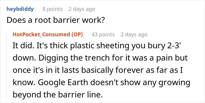 “I Quickly Discovered Running Bamboo”: Homeowner Takes Revenge On Inconsiderate Neighbor Refusing To Shift His Security Light “I Quickly Discovered Running Bamboo”: Homeowner Takes Revenge On Inconsiderate Neighbor Refusing To Shift His Security Light