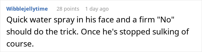Guy Gets Tired Of His Boyfriend's Socks Being Scattered All Over Their Home, "Unionizes" With Their Dogs Against Him Guy Gets Tired Of His Boyfriend's Socks Being Scattered All Over Their Home, "Unionizes" With Their Dogs Against Him