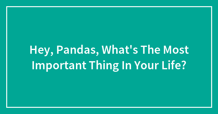 Hey, Pandas, What’s The Most Important Thing In Your Life?