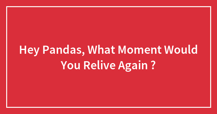 Hey Pandas, What Moment Would You Relive Again ?