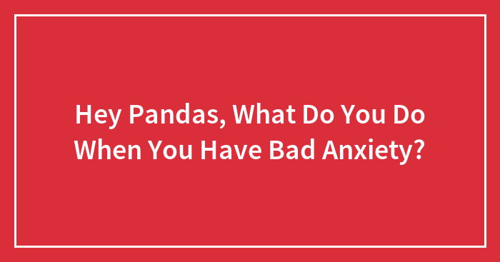 Hey Pandas, What Do You Do When You Have Bad Anxiety? (Closed)