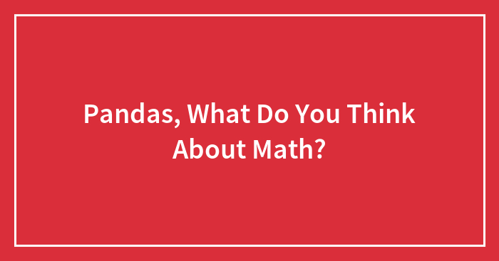 Pandas, What Do You Think About Math?