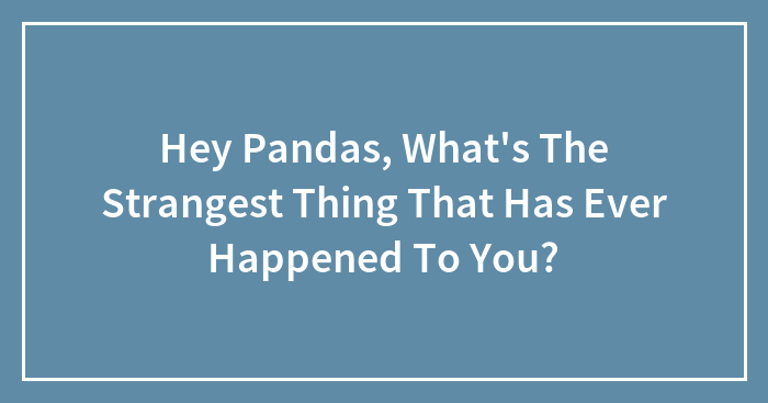 Hey Pandas, What’s The Strangest Thing That Has Ever Happened To You? (Closed)