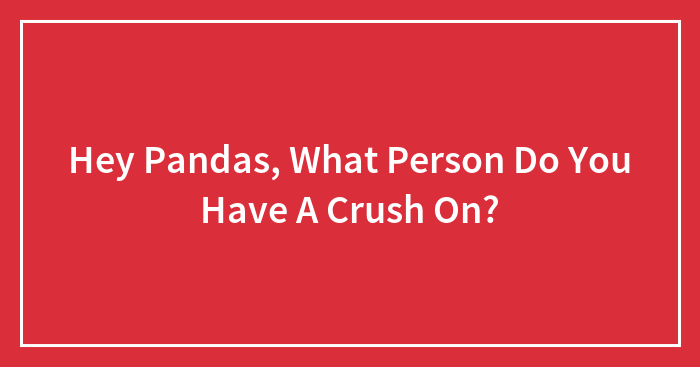 Hey Pandas, What Person Do You Have A Crush On?