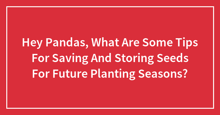 Hey Pandas, What Are Some Tips For Saving And Storing Seeds For Future Planting Seasons? (Closed)