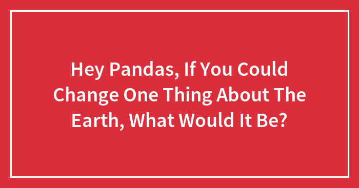 Hey Pandas, If You Could Change One Thing About The Earth, What Would It Be?