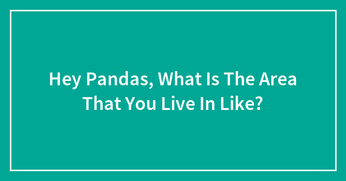Hey Pandas, What Is The Area That You Live In Like? (Closed)