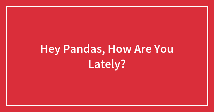 Hey Pandas, How Are You Lately? (Closed)