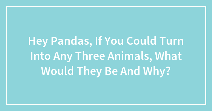 Hey Pandas, If You Could Turn Into Any Three Animals, What Would They Be And Why?