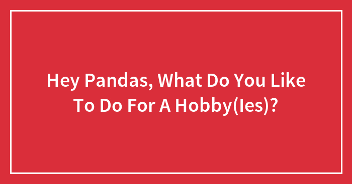 Hey Pandas, What Do You Like To Do For A Hobby(Ies)?